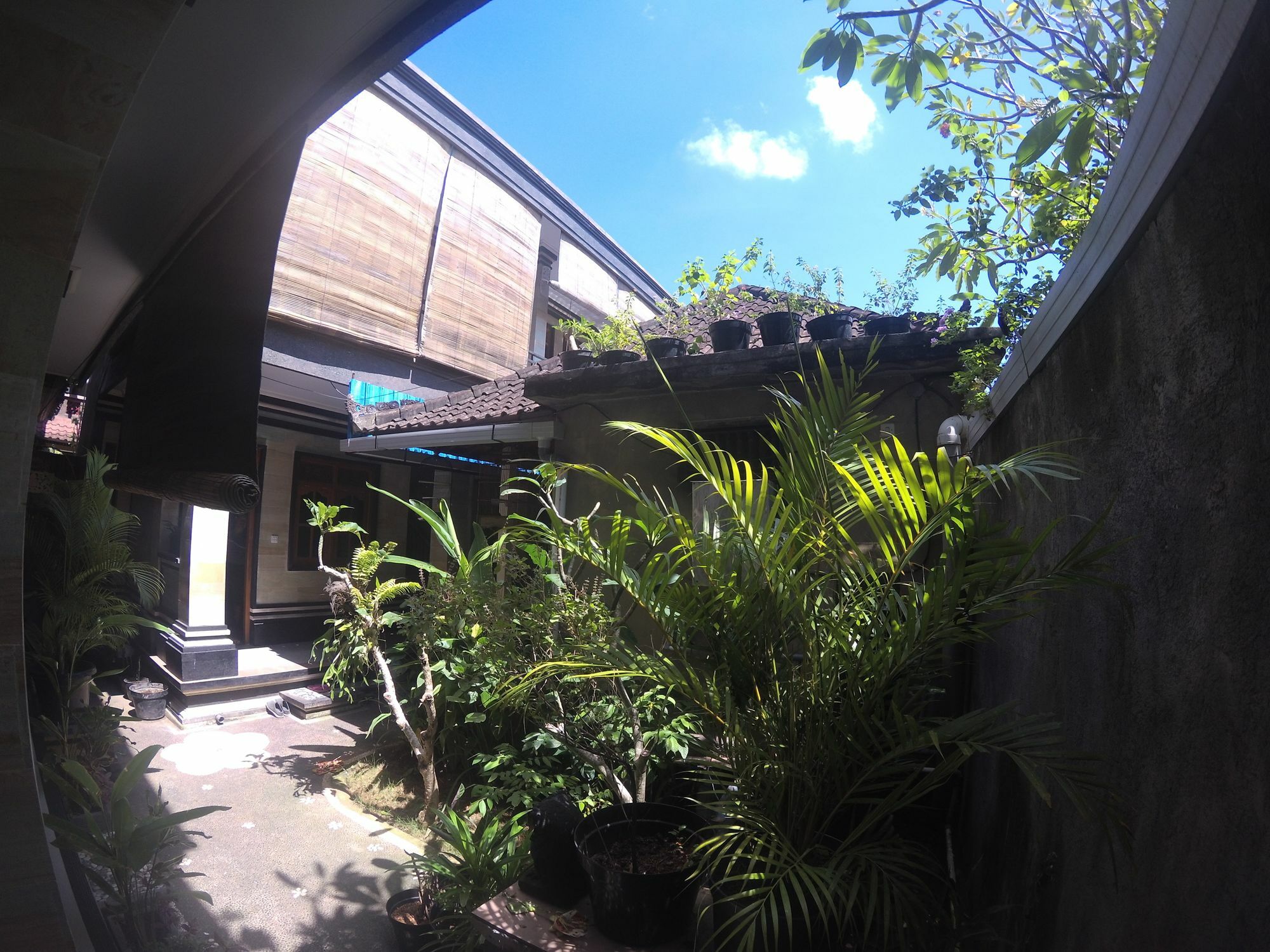 Rumah Ary Homestay & Spa Убуд Екстер'єр фото